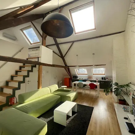 Spacious Loft In The Historical Centre *