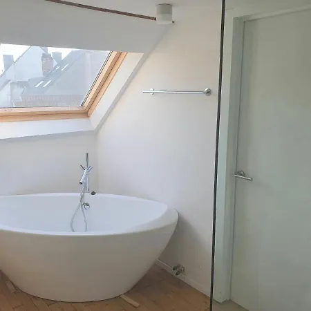 Spacious Loft In The Historical Centre Daire Gent