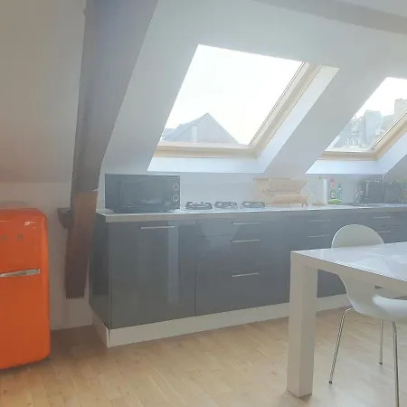 Spacious Loft In The Historical Centre Apartment Gent
