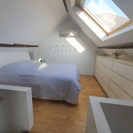 Spacious Loft In The Historical Centre *