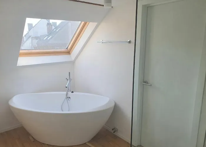 Spacious Loft In The Historical Centre Apartment Ghent