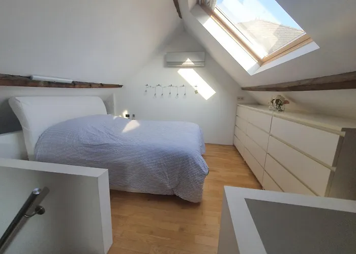 Spacious Loft In The Historical Centre *